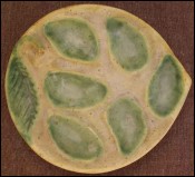 French Provence Majolica Oyster Plate Toulon 1950