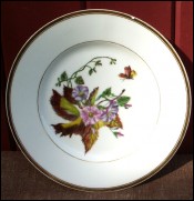 Bindweed Butterfly French Porcelain Plate 1950