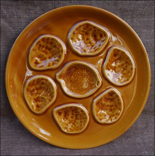 Camel Brown Oyster Plate French Faience Niderviller