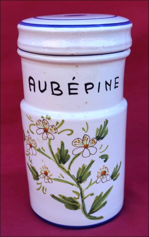 Hand Painted Faience Apothecary Herbalist Jar Haw Hawthorn