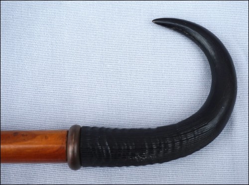 Ibex Horn Swiss Alps Walking Hiking Stick Cane Fluelen Uri