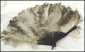 Hand Fan Ostrich Feather Shell
