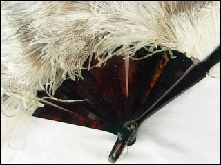 Fan Ostrich Feather Shell 1860