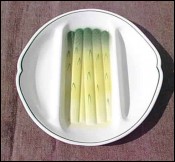Asparagus Plate French Majolica Salins